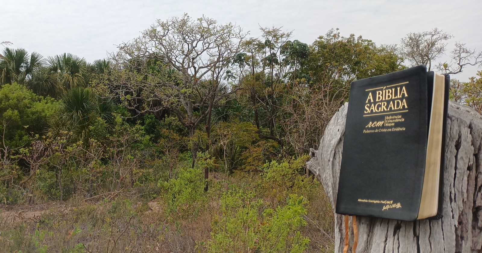 Filho, não se esqueça: Eu te gerei!